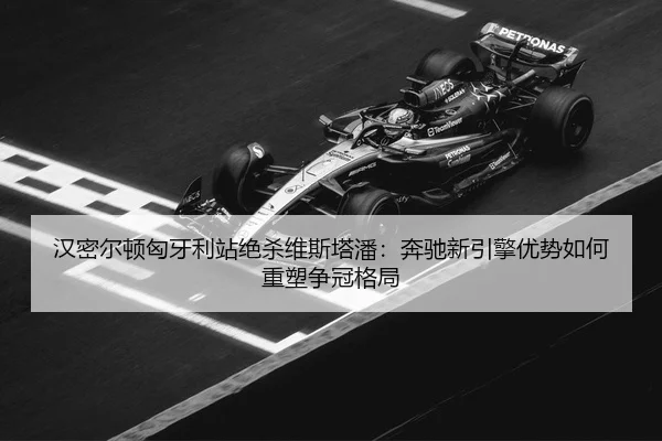 han-mi-er-dun-xiong-ya-li-zhan-jue-sha-wei-si-ta-pan-ben-chi-xin-yin-qing-you-shi-ru-he-zhong-su-zheng-guan-ge-ju-3-282.jpg